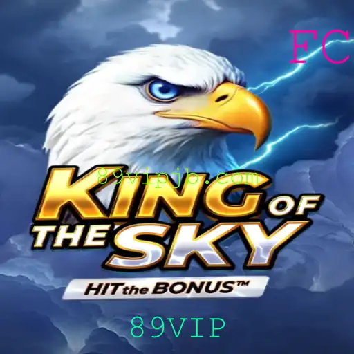Explorando o Universo de KingOfTheSky: Aventura, Estratégia e Desafios em Tempo Real